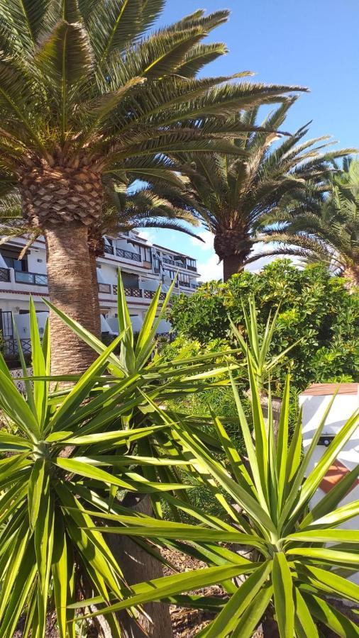 Apartmán Flat Costa Del Silencio Exteriér fotografie